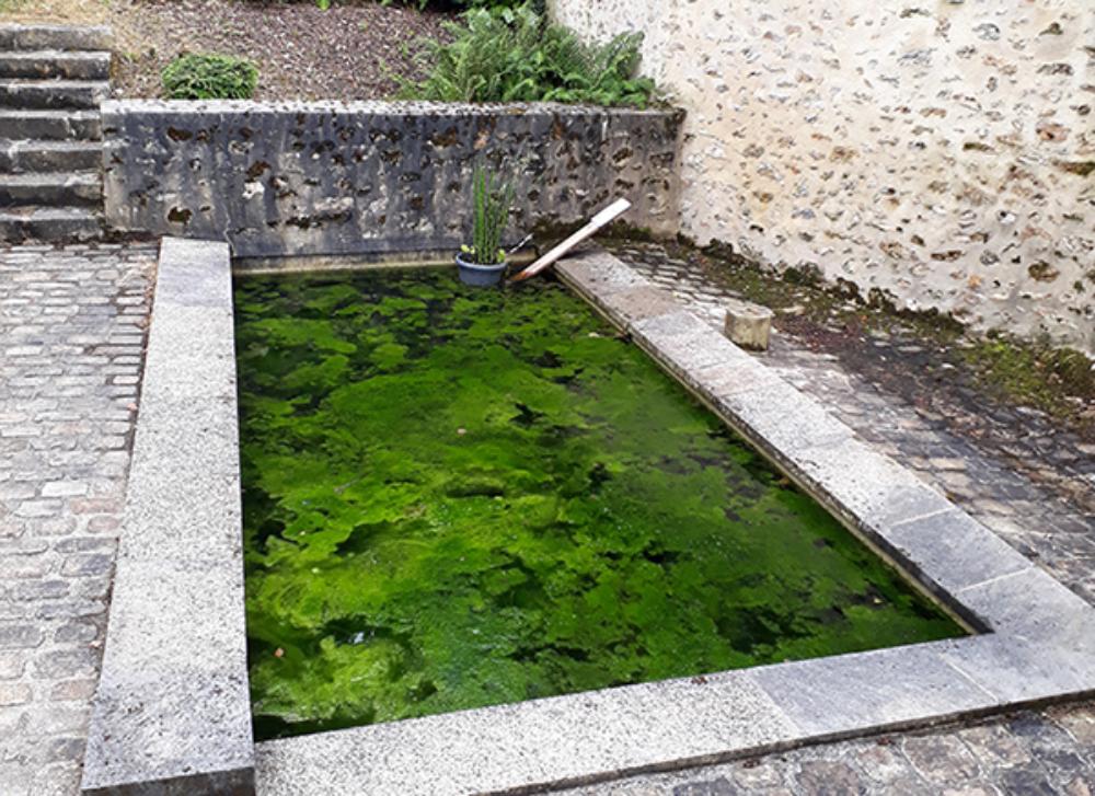 Aventure « A la claire fontaine » à Buc