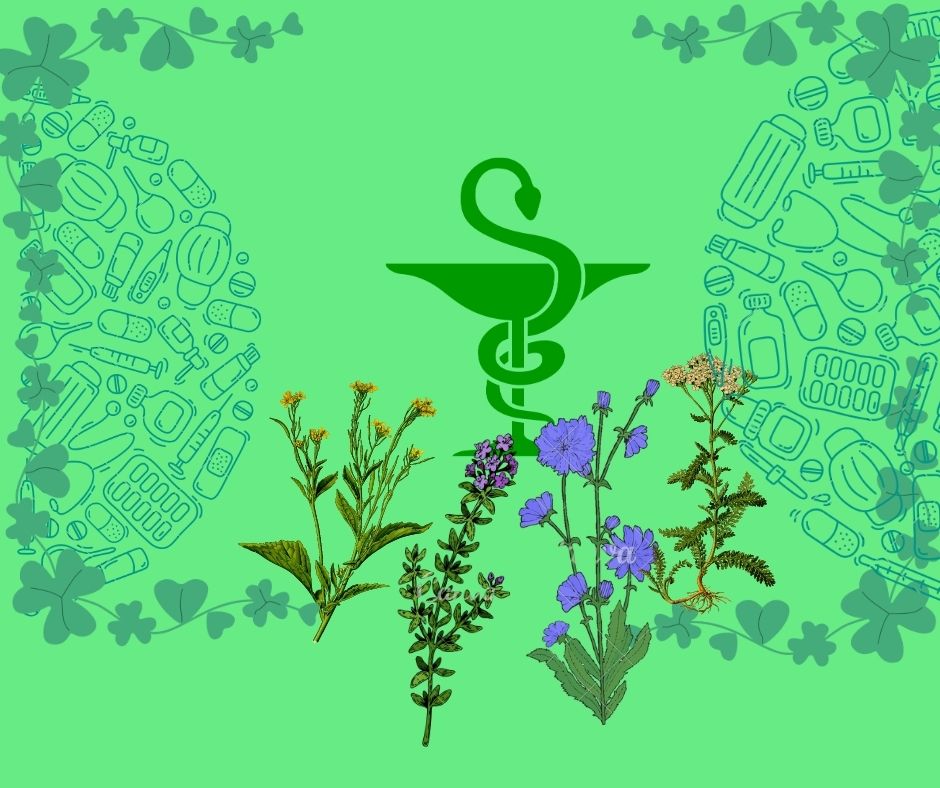 Aventure « Rien que des plantes » à Houdan