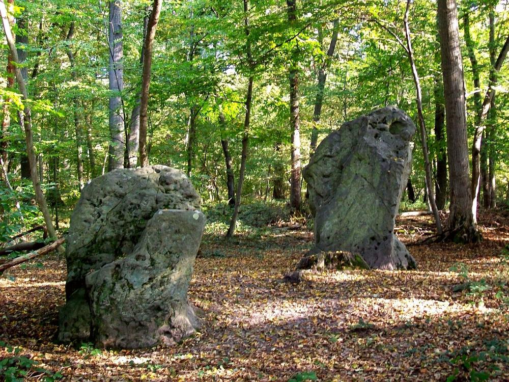 Aventure « Promenons-nous dans les bois - Sud de la Forêt d'Halatte (Oise) » à Chamant